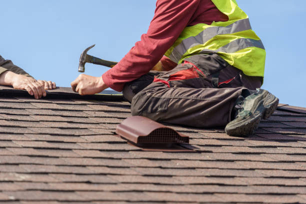 Best Local Roofing Companies  in Starbuck, MN
