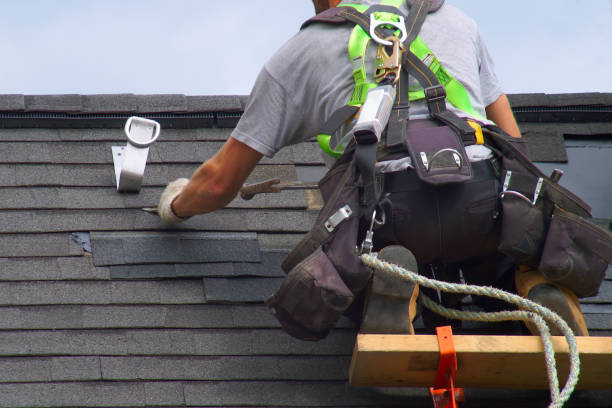 Professional Roofing Contractor in Starbuck, MN