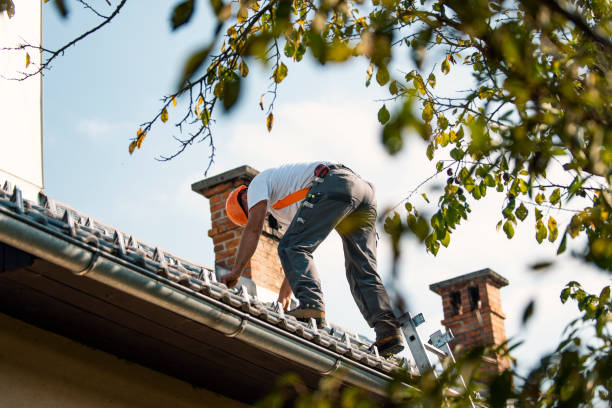 Best Storm Damage Roof Repair  in Starbuck, MN