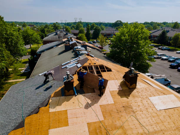 Best Flat Roof Repair Services  in Starbuck, MN