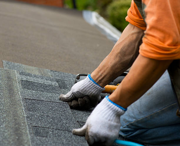 Best Roof Replacement Cost  in Starbuck, MN