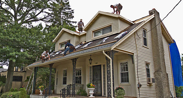 Best Roof Repair Services  in Starbuck, MN