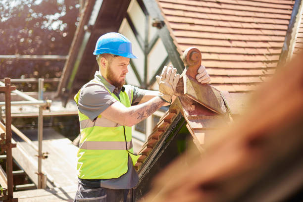 Best Roof Gutter Cleaning  in Starbuck, MN