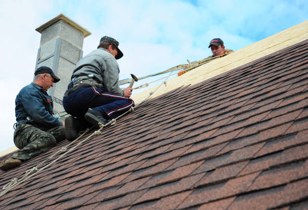 Roof Installation Near Me in Starbuck, MN
